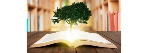 Teorias e Práticas Educativas Inovadoras em Geografia e em Educação Ambiental